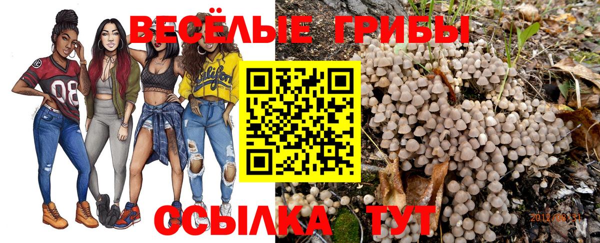 Псилоцибиновые грибы Cubensis  наркошоп  Галлюциногенные грибы мухоморы  Кинель  Вход с VPN 